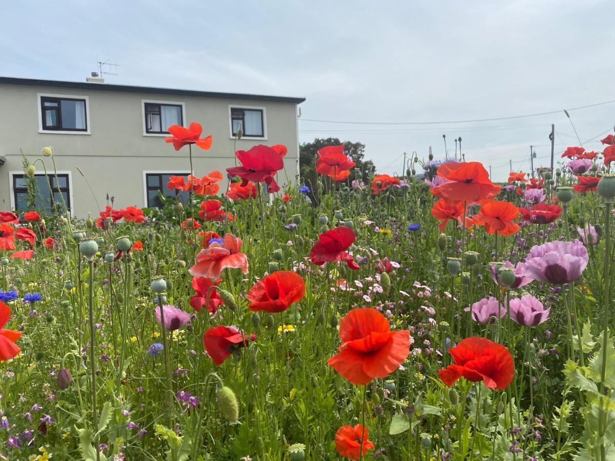Clonmore Lodge B&B Quilty Экстерьер фото