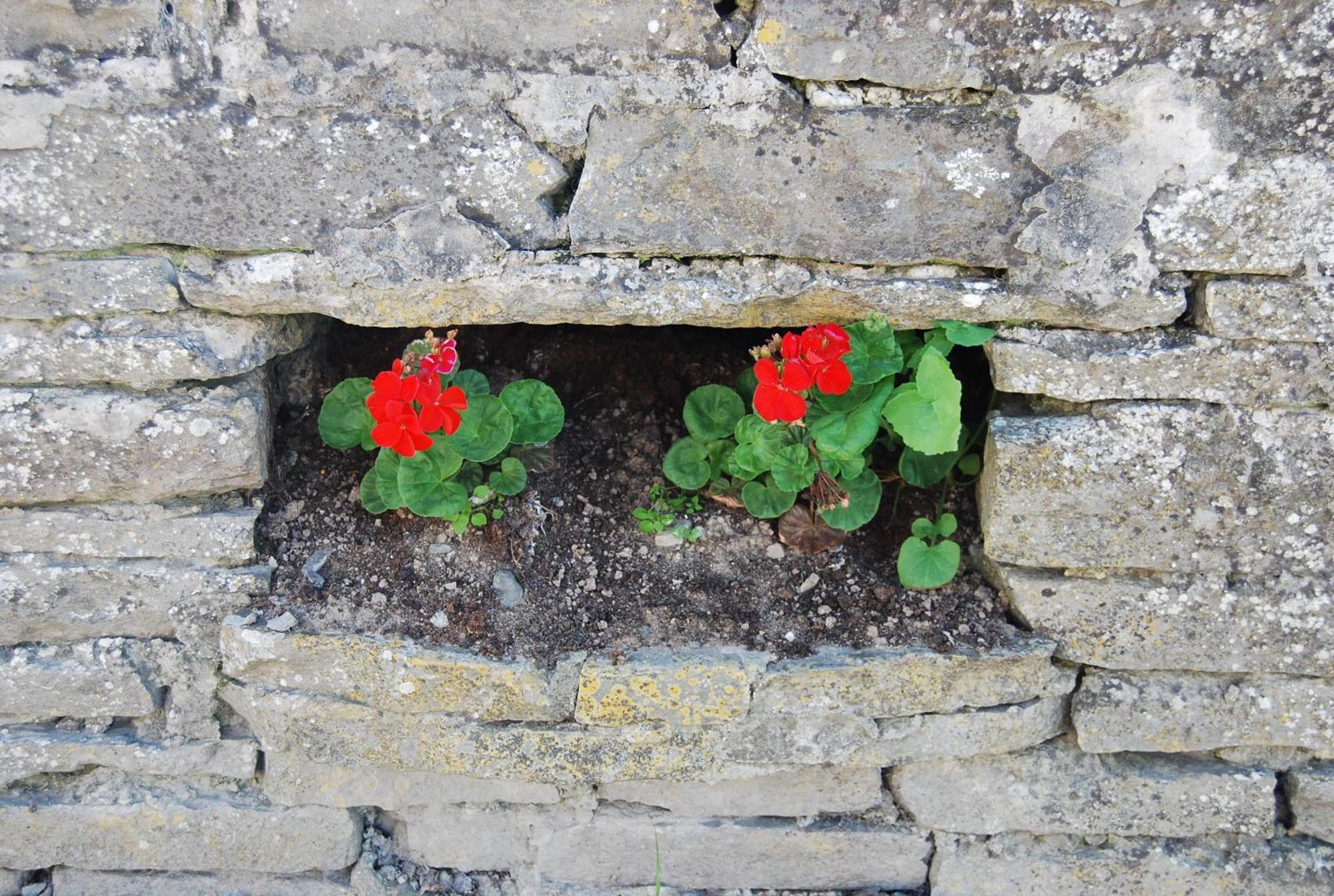 Clonmore Lodge B&B Quilty Экстерьер фото